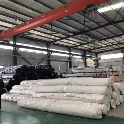 衡水黑色土工布市場價格走勢與廠家供貨解析